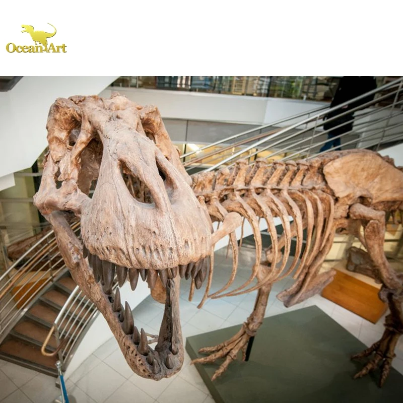 Amusement Park Full Size Replica T Rex Dinosaur Skeleton Model For Sale