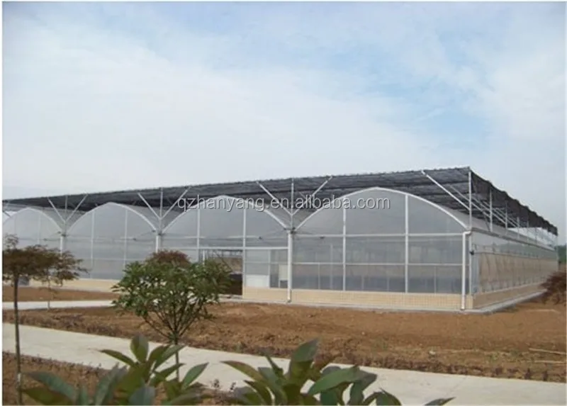 agriculture equipment/cheap arch pipe greenhouse for sale/Solar tomato greenhouse for sale