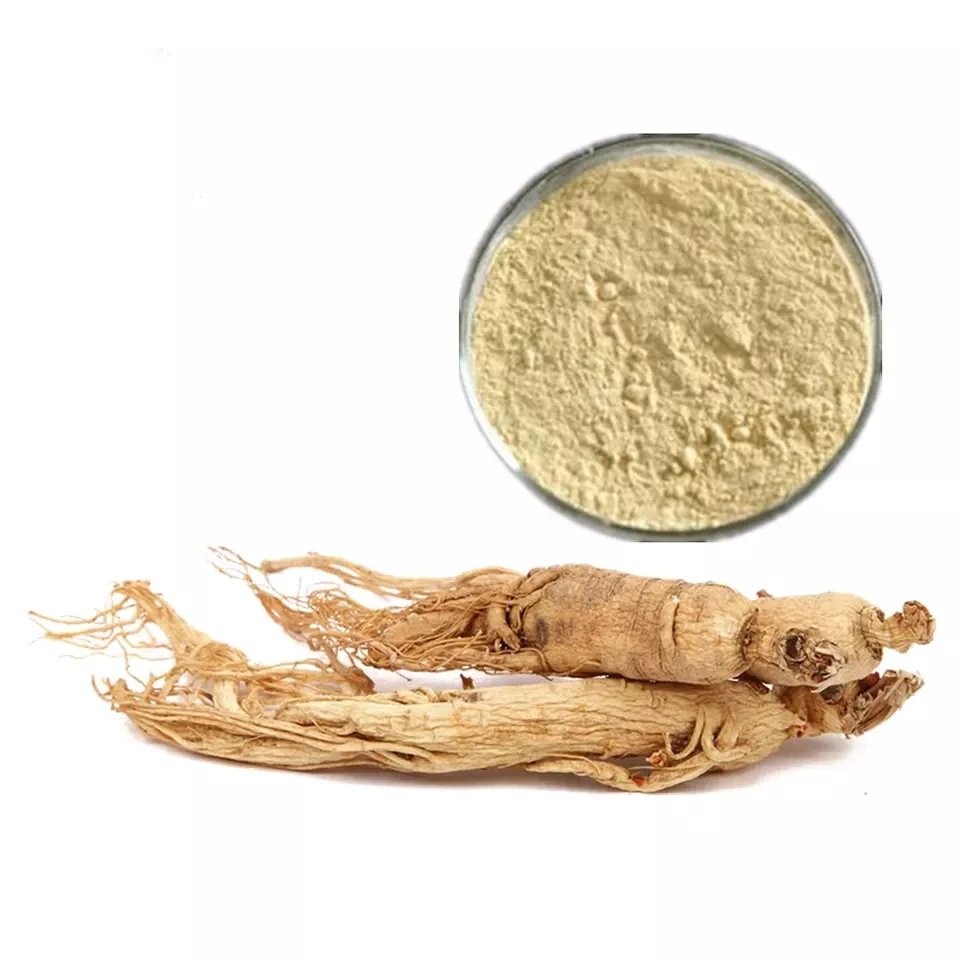 Bulk 100% pure redix panax ginseng extract Organic Dried panax ginseng extract powder