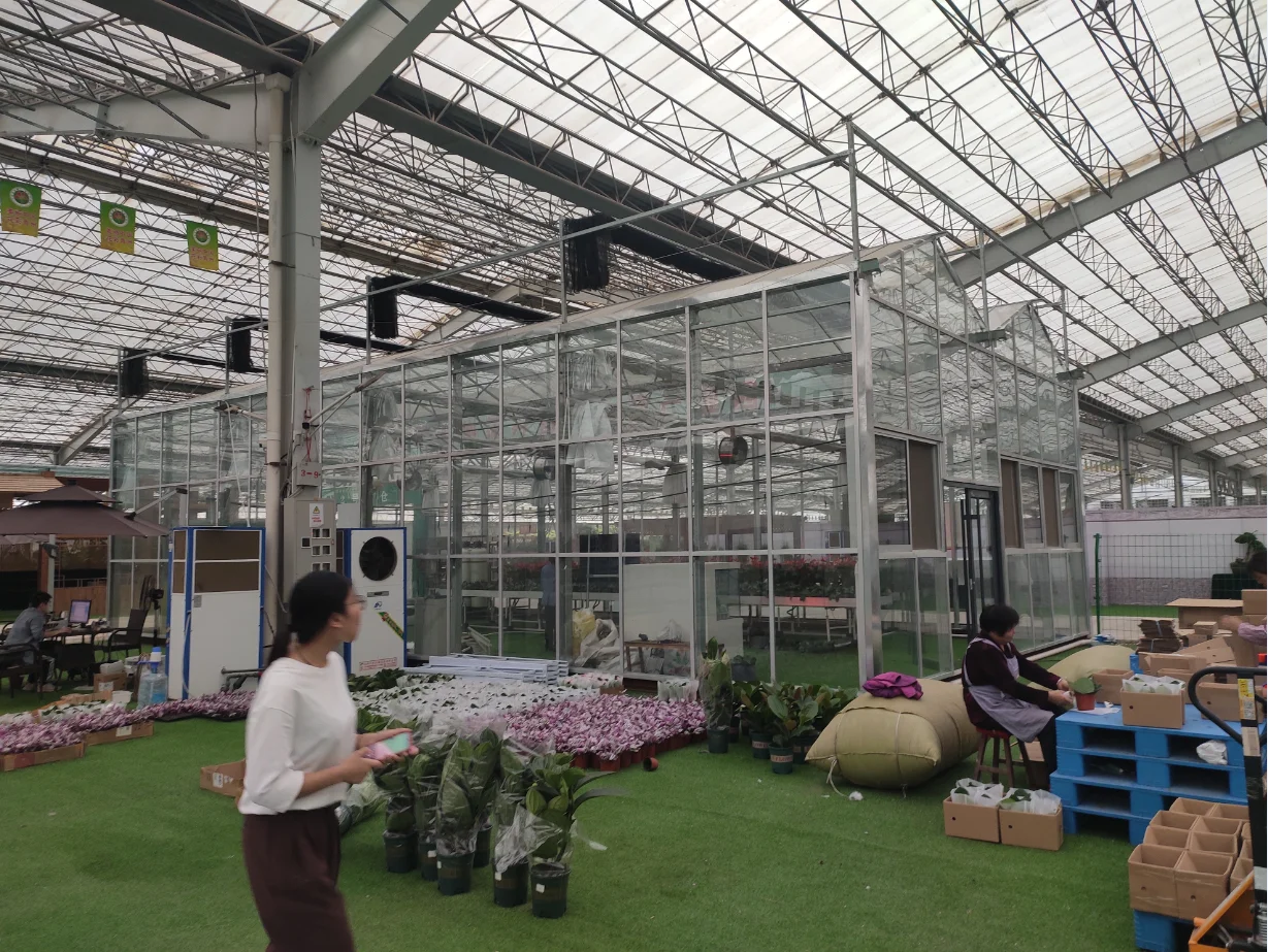 China Manufacturer Excellent Material small glass green house little intelligent