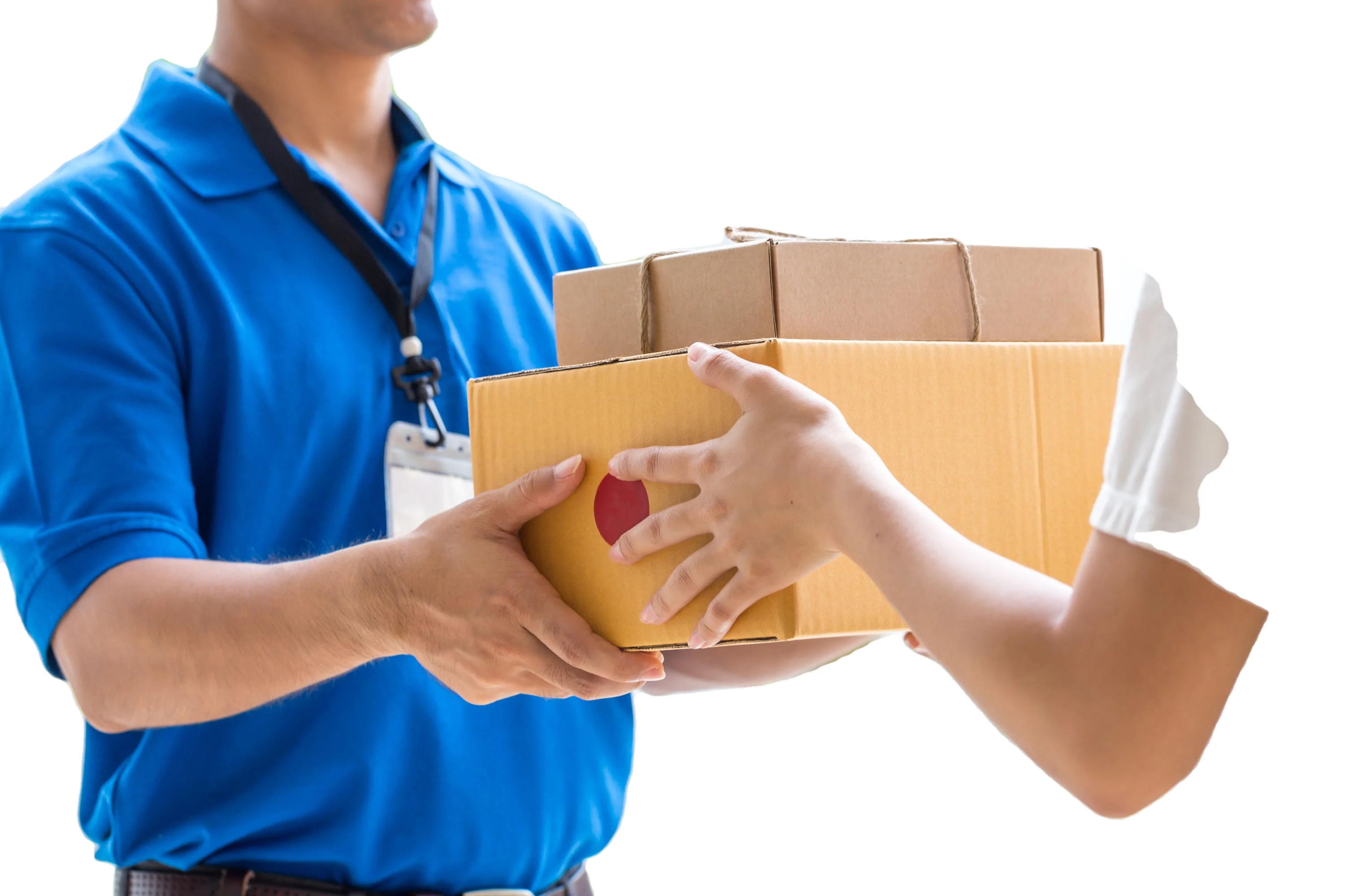 Best Selling Products in USA online Pet Supplies shipping forwarder China to DK HK DHL UPS Fedex etc