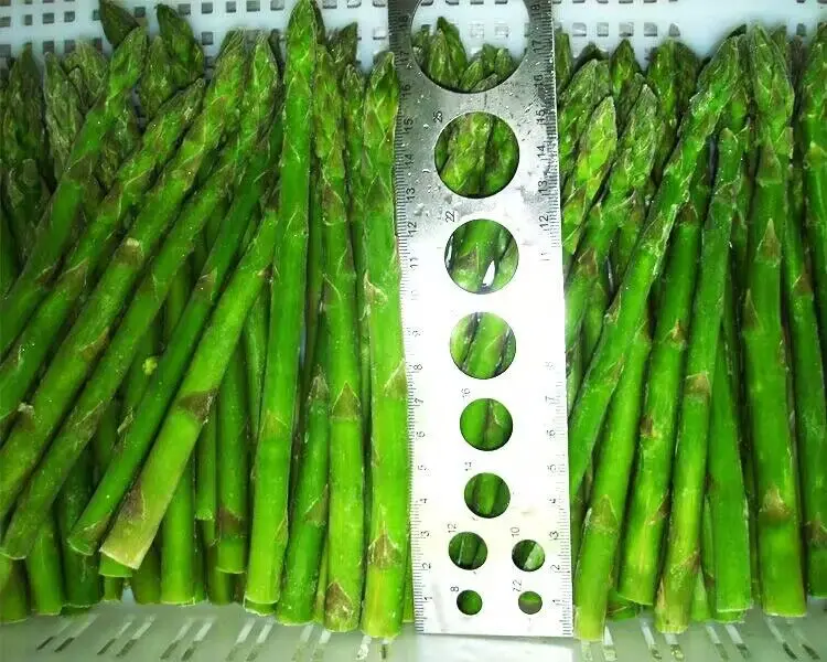 IQF Frozen Green Asparagus Price