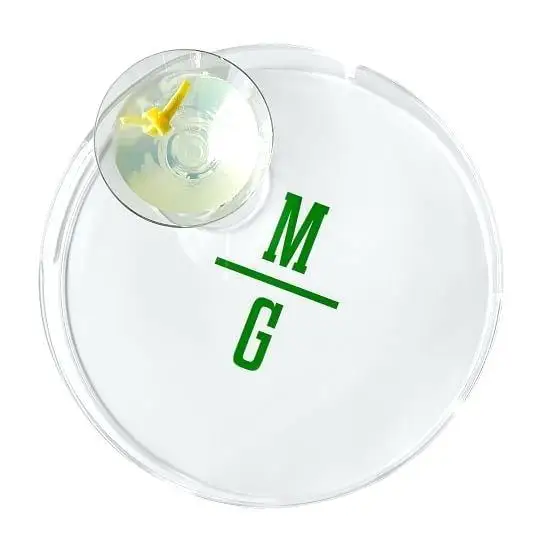 Custom Clear Acrylic Lucite Serving Trays with Metal Gold or Cutting Handles, Bottom Insert and UV Printing Decorative Trays