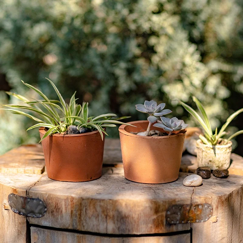 Small red pottery succulents flower pots  green plants flowers potted plants terracotta clay pots