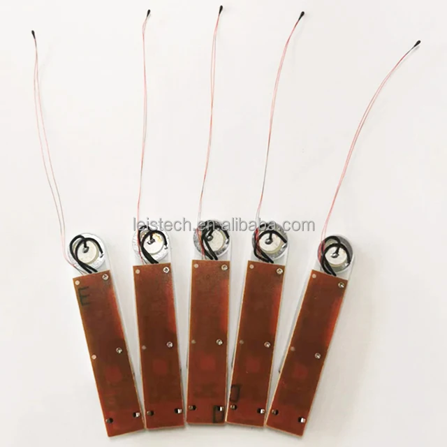 LS 09 paper back.jpg