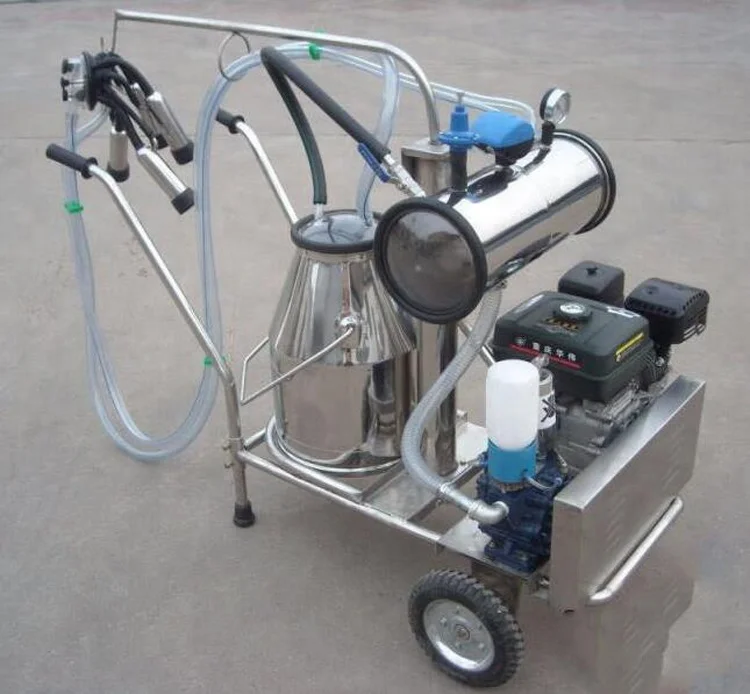 Export cow milking machine to European