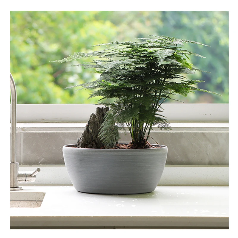 Modern Design Small Plastic Planter Good Quality Brushed Flower Pot for Indoor and Outdoor Use for Home Garden Nursery
