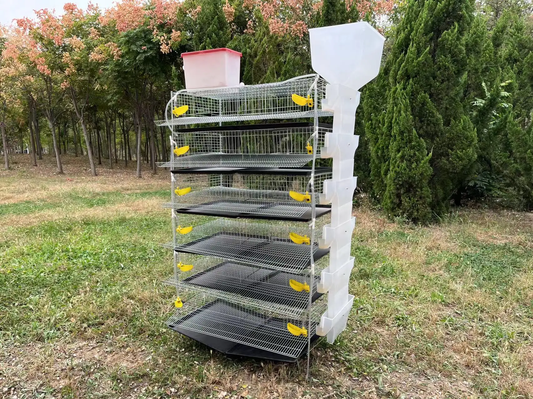 Hot sale quail cage for male and female fertilized eggs commercial quail cage for jumbo quails