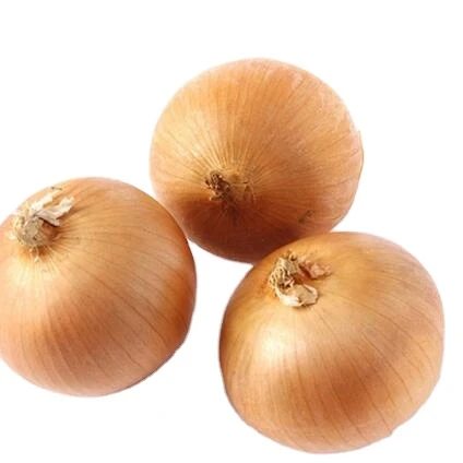 Onion Exporter Fresh Onion