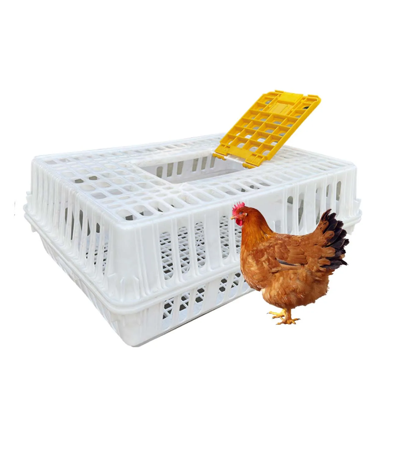 OEM Pigeon Quail Chicken Farm and Home Use New Chicken Transport Cage