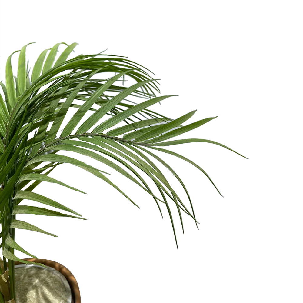 
Custom Artificial Palm Tree Artificial Potted Plants Display Props Visual Marketing 