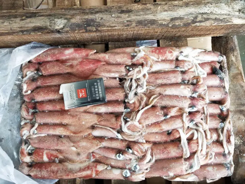 Малый размер illex lолиго замороженный кальмар замороженный розовый/красный кальмар из Вьетнама