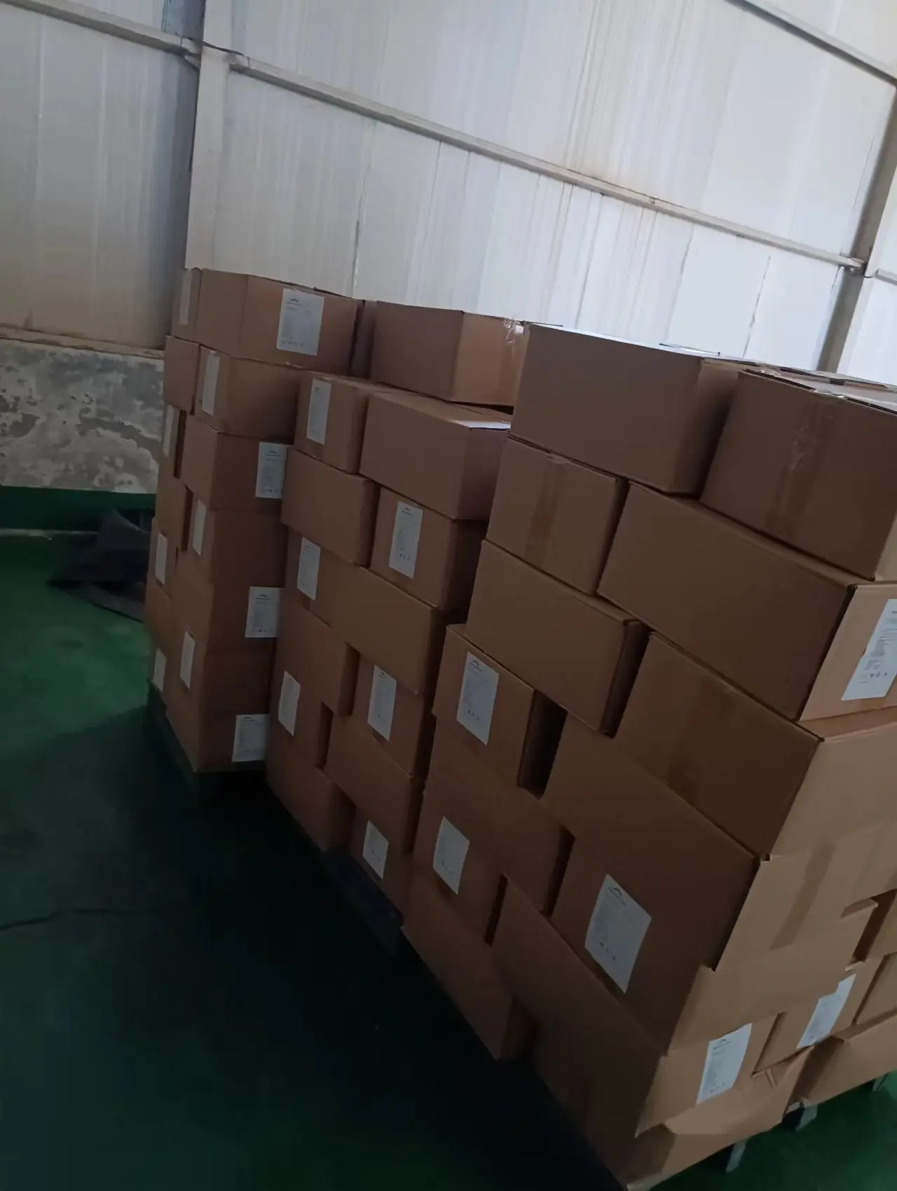 Chinese seedless date