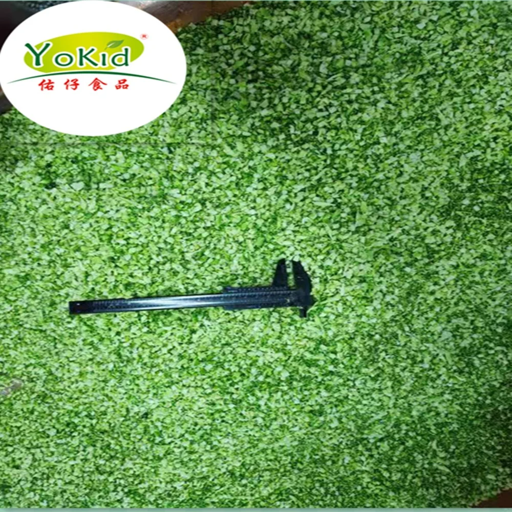 Высокое качество, оптовая продажа, оптовая продажа, свежий замороженный брокколи рис IQF