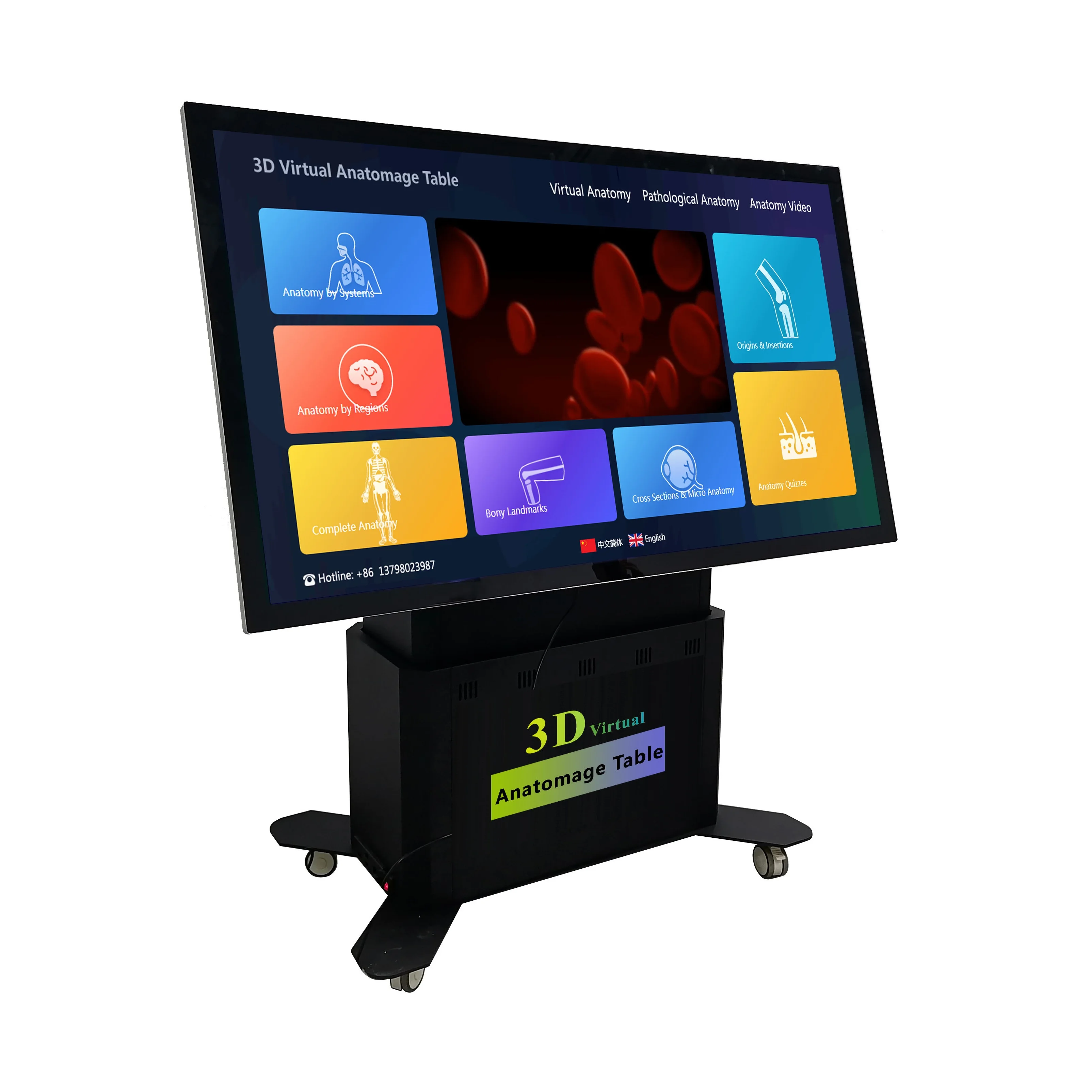 High Performance Medical Science University School Teaching Equipment Virtual 3D Anatomy Table