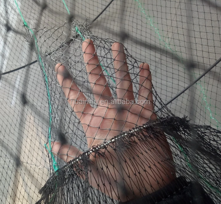 
Fishing trap plastic coated wire lobster trap fish traps spring cage sale 