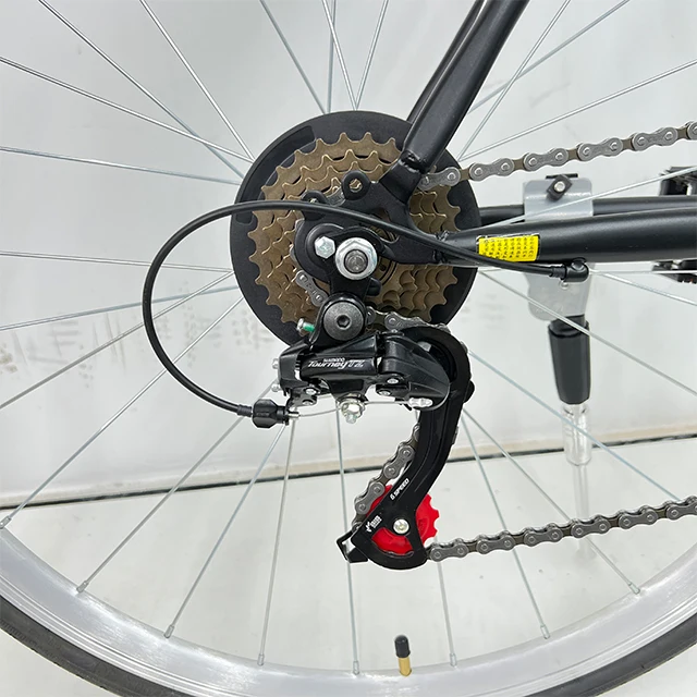 Hot Selling Road Bike Professional Road Bicycle Vintage Bike
