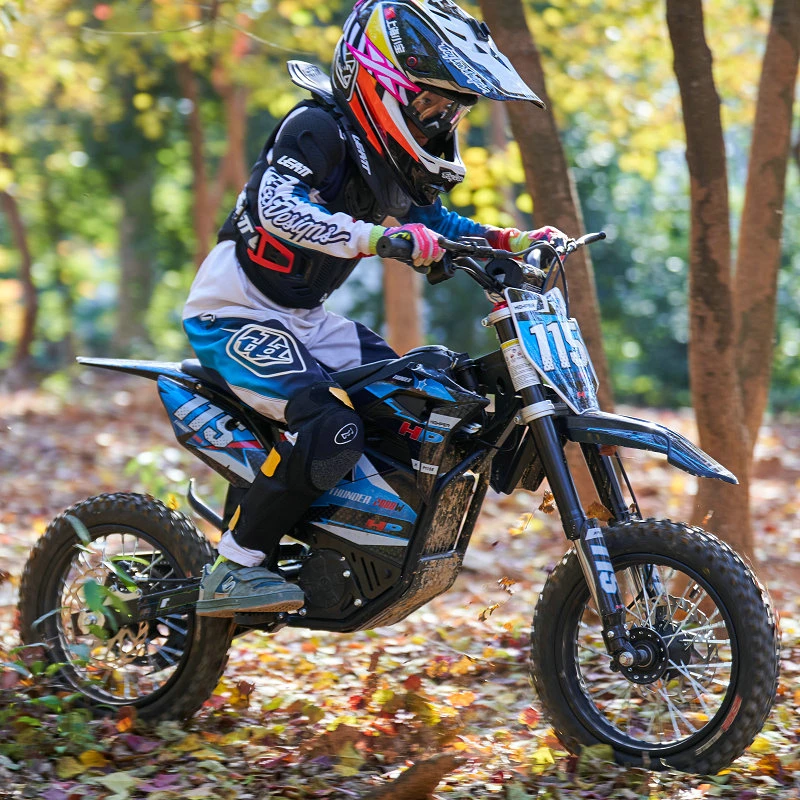 New 2 KW 36V Off Road Electric Motorcycle, Electric Dirt Bike (HP115E)