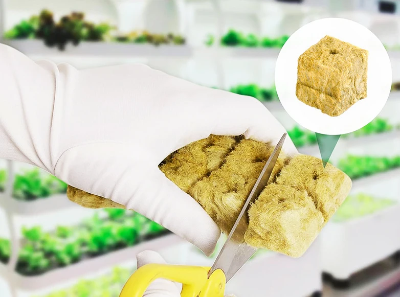 Hydroponics Plant Agricultural Rock Wool Sprouting Seeding Rock Miner Wool Rock Wool Plugs