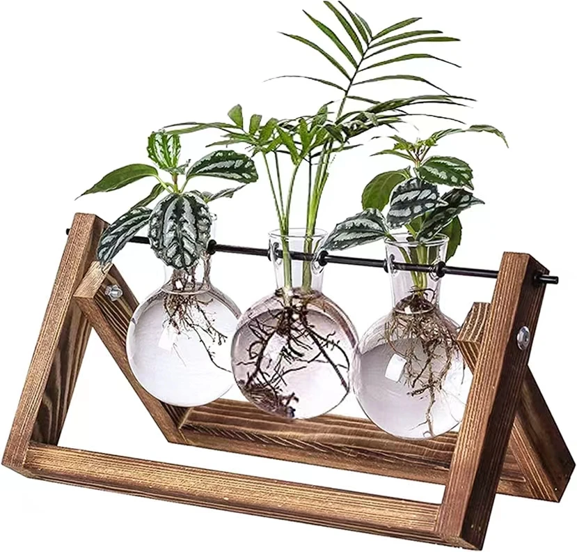 Table top plant terrarium with wooden frame, light bulb glass vase metal rotating stand with retro wooden frame hydroponics
