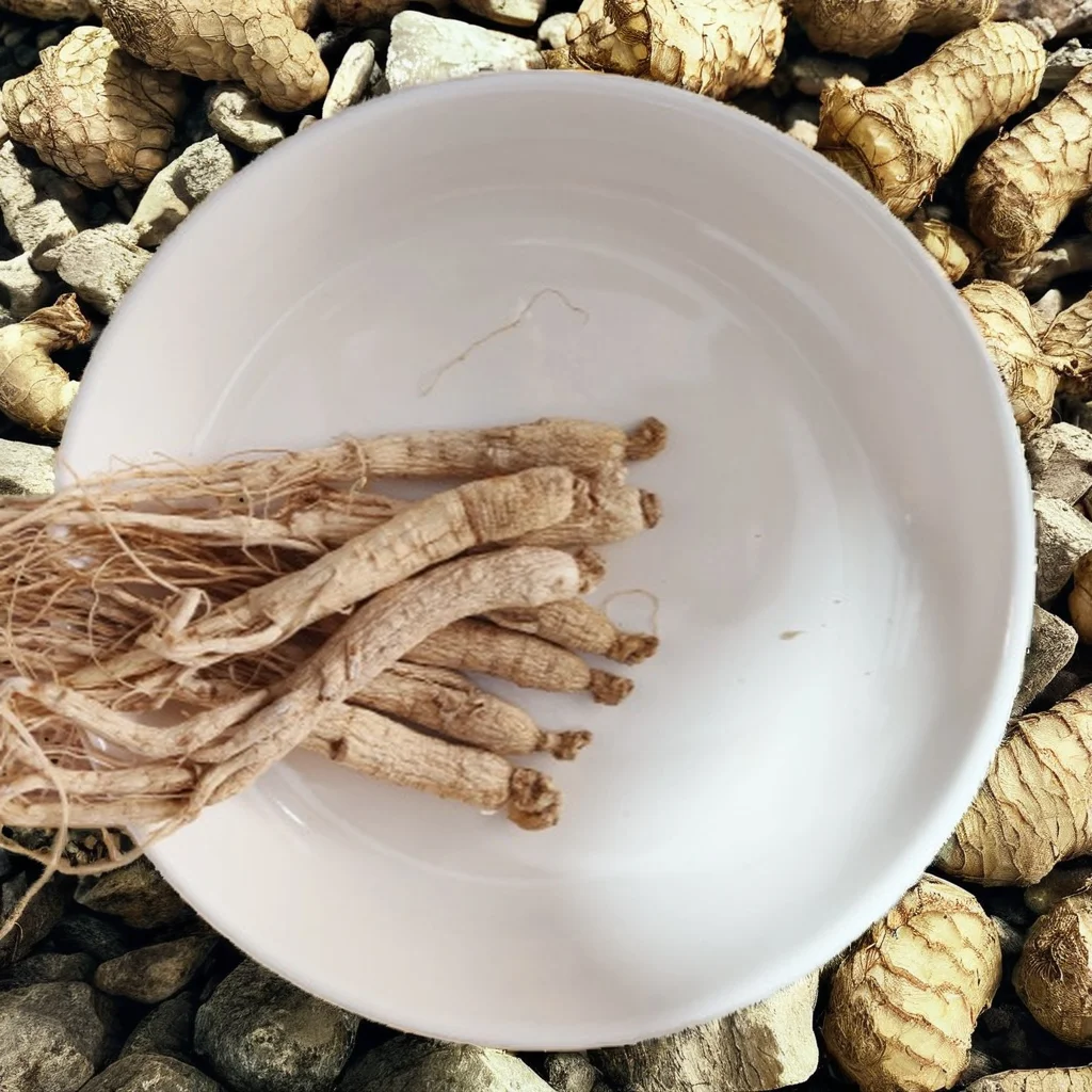 Changbai Mountain White Ginseng Dried Root Bitter Taste Natural Treasure Essence for Adults