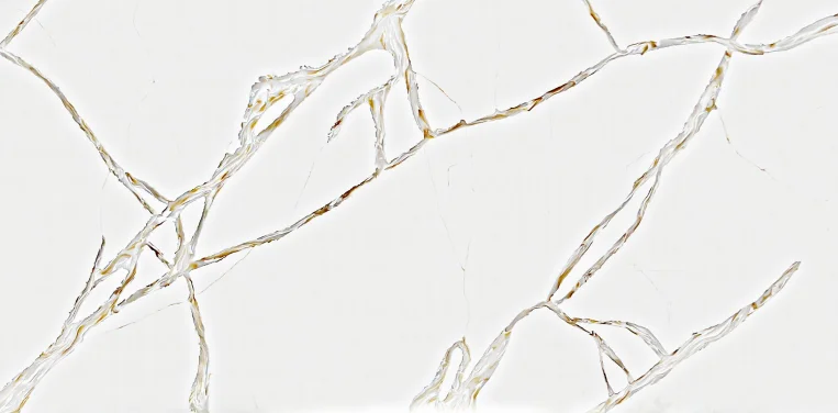 Calacatta Golden Dream White Quartz Artificial Stone Jumbo Size 3200*1600 Modern Surface Kitchen & Work Tops Vanity & Table Tops