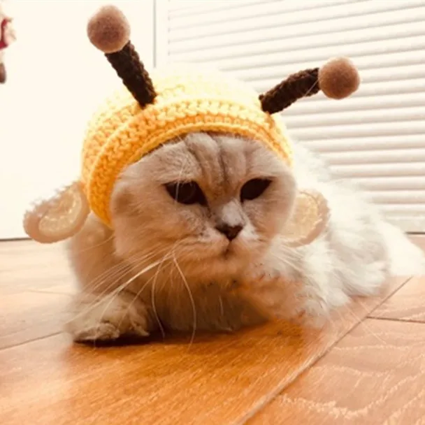 Pet Accessories High End Custom Puppy Knitted Beanie Hat Custom Logo Mini Pet Beanie for Dog Cat Pet Accessories 2023