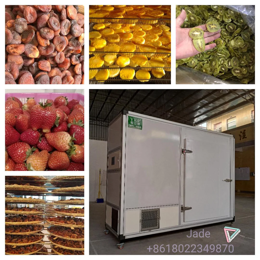 Coconut sugar drying oven fruit processing dryer machine