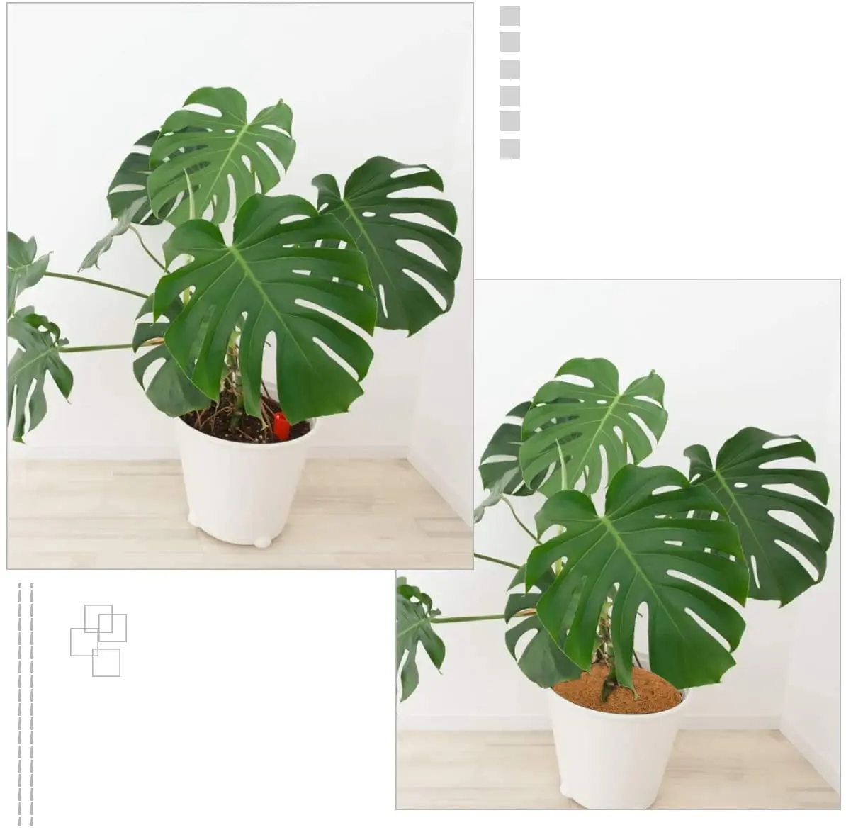 16 inch Diameter  Coir Fiber biodegradable coir mulch for tree plant protection