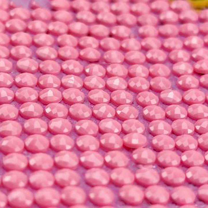 
Paint by Numbers Wall Art Canvas 5d Plant Diamond Painting for Living Room Wall Canvas Diamond Printing 