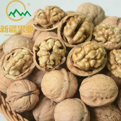 Reduced Xinjiang 185/sns/xf paper wallnut walnut snack