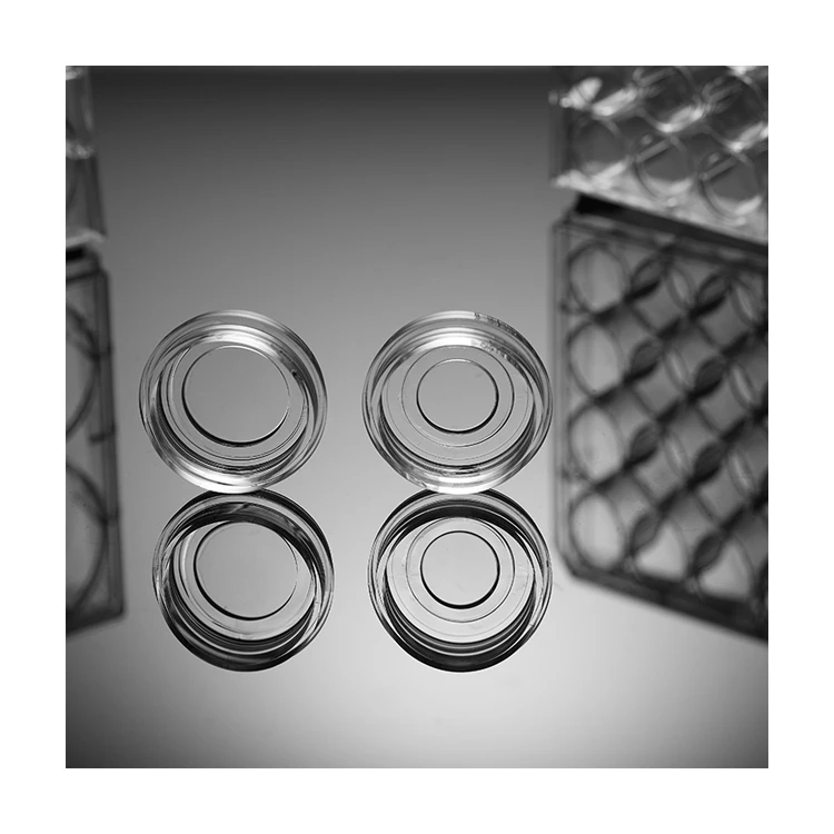 NEST Laboratory 35mm Glass Bottom Cell Culture Dish for Confocal Microscope Cell Observation