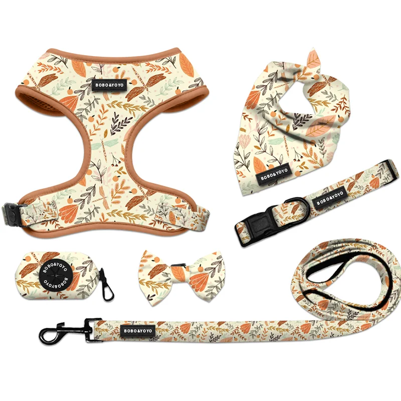 Personalized High Quality Luxury Escape Proof Breathable Mesh Neoprene Cat Pet Dog Harness Leash Lead Collar Set