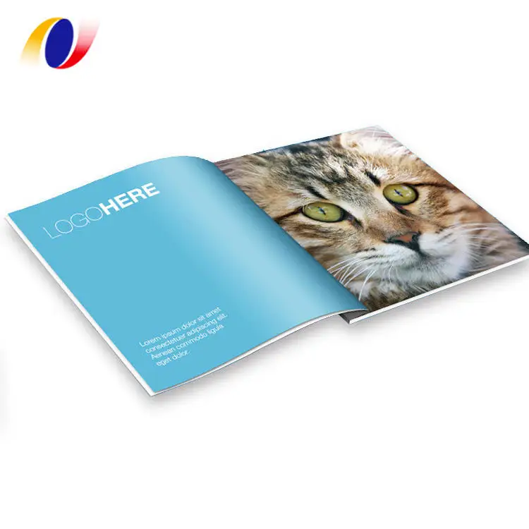 Wholesale Custom Full Color Manual Paperback Catalogue Picture Album Softcover Saddle Stitch Print Book