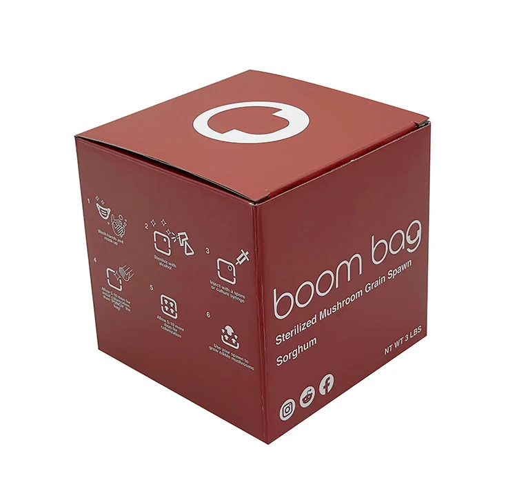 E-commerce Mailer Box Packaging Carton Plain White Shipping Delivery Box