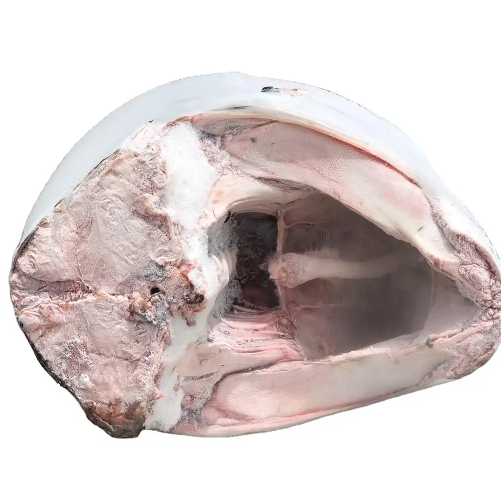 
Wholesale IQF frozen Swordfish for fresh seafood 