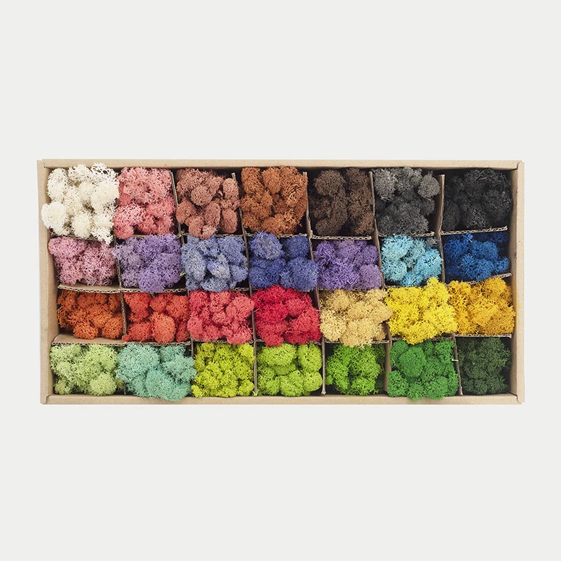 YINGBIN 500G Lichen Moss Stabilized Musgo Long Lasting Natural Preserved Moss For Wall Decoration