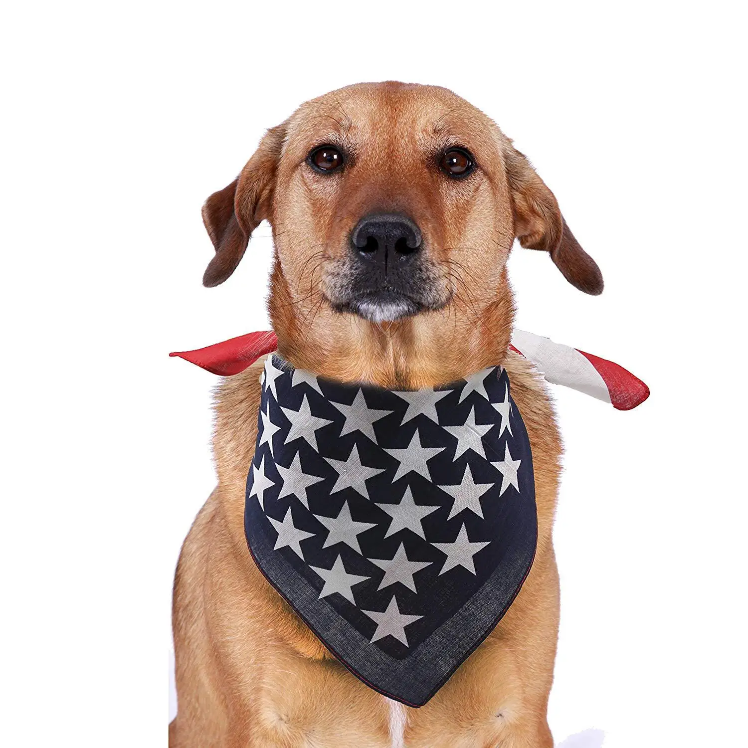 Tanpopo Popular American Flag USA Square Dog Bandana Bibs Scarf Patriotic Cats Kerchief for Small Large Pets Cotton Towel
