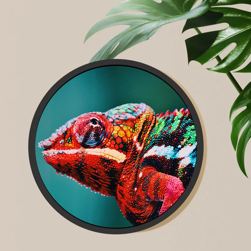 15.7  Inch New Module Custom Round Lcd Advertising Media Display Circular TFT Lcd Screen Touch Screen For Business