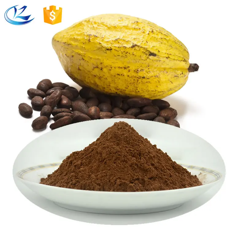 Factory Supply Pure Natural Cocoa powder with Ghana cocoa bean