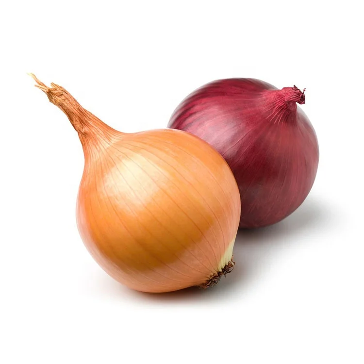 China fresh onion.jpg