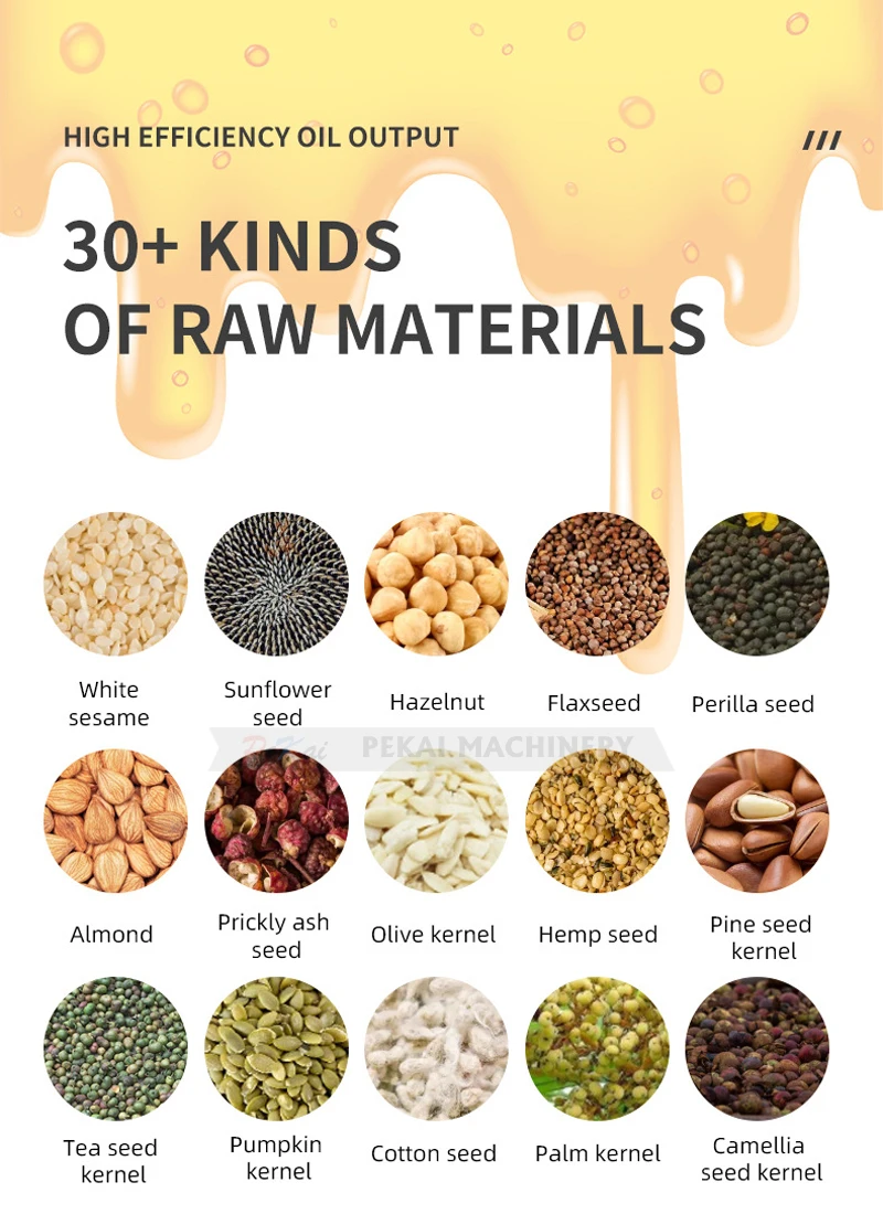 B01S Intelligent Oil Presser Automatic Peanut Mini Olive Oil Press Machine