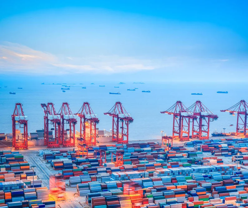 DDU/DDP service sea freight forwarder shipping to USA/Europe/Southeast Asia from China with door to door service