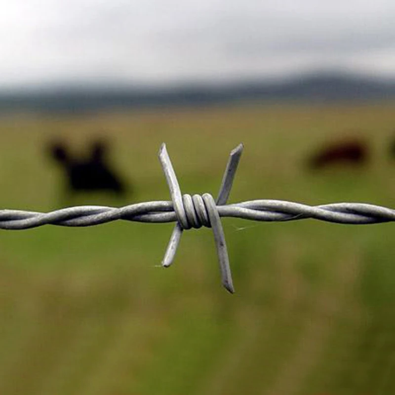 Плоские гвозди растягивающая сталь сделано из оцинкованной колючей колючая клетка бритва проволока ограждение цена за