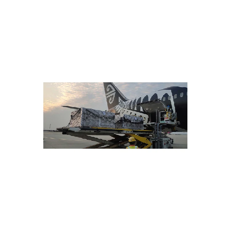 
New Zealand/Korea/China Reliable LCL Air Shipping Agent Sea international parcel delivery Shipping Freight Forwarder 