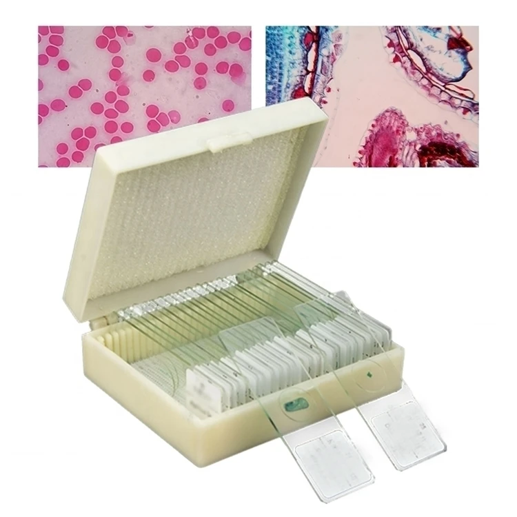 25 штук учебное и научно-исследовательских биологической броши в виде бабочек насекомых животных завод зоологии ботаника микробиологии подготовленные микроскопы шлепанцы без задника с