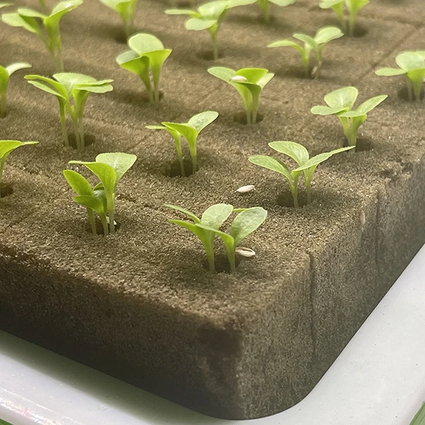 Легкие Гидропонные среды для выращивания без почвенных кубиков корнеплоды трав