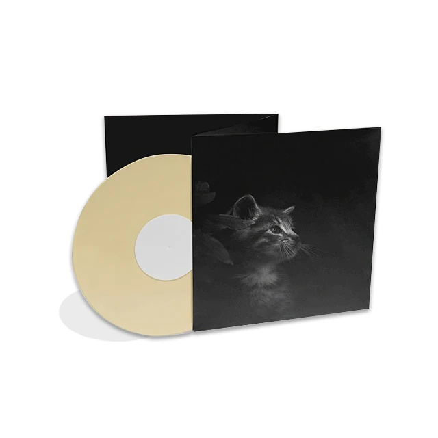 Виниловые пластинки, дисковая запись, подавление, упаковка, музыка, винил