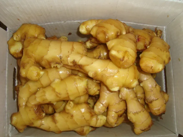 
Chinese fresh mature super healthy ginger 