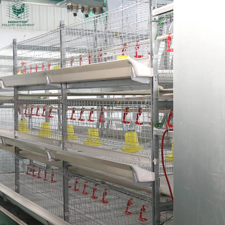 Broiler Chicken House Automatic H Type Turn Key 6 Tier 7 Tier 8 Tier Broiler Battery Cage For Sales In Kenya